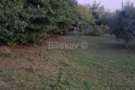 For sale, Kožino, agricultural land, olive grove