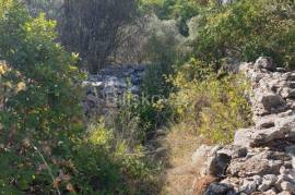 Vela Luka, agricultural land for sale 10756m2