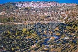 Brač, Supetar olive grove 14,050 m2, suitable for a family farm