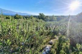 Olive grove for sale, Mirca, island of Brač