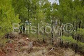 Bol, Brač 1750 m2 land for commercial purposes