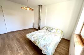 Fully Renovated Detached House with Pool