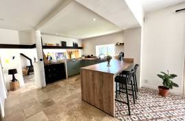 Fully Renovated Detached House with Pool