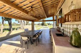 Fully Renovated Detached House with Pool