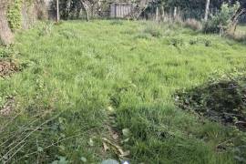 Traditional House with Garden in Great Location