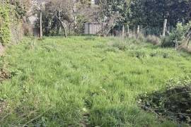 Traditional House with Garden in Great Location