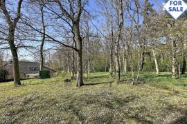 Detached Country House with Woodland Plot