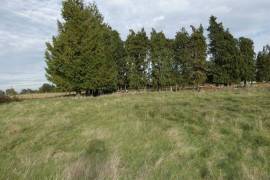 Detached Country House with Open Views