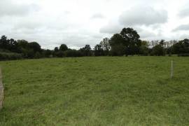 Detached Country House to Improve with Garden
