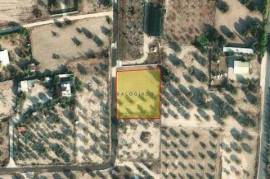 Agricultural Land for Sale in Aradippou Area, Larnaca