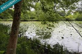 Très bel étang sans vis à vis avec dépendance