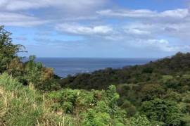 Ensemble de parcelles viabilisées avec vue mer