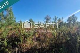Grand terrain forestier 5,9h à Biganos