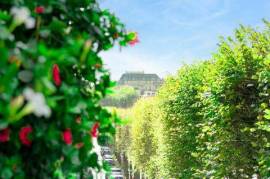 Traversant Est-Ouest, Lumineux, Quartier recherché