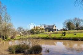 Maison pierre rénovée idéale amoureux de la nature