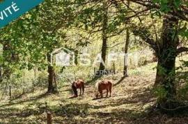 Au calme, en pleine nature, nichée dans la forêt
