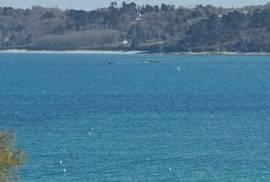 rare terrain vue mer