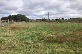 TERRAIN AGRICOLE 1,1 HECTARE AVEC BATIMENT /commune de Queyrac