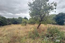 Thorigné d'Anjou - Terrain constructible 600m2 Thorigné d'Anjou - Terrain constructible 600m2