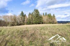 Magnifique terrain agricole / pâturage – Vue imprenable