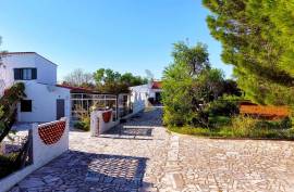 Exclusive farm with 3 bedroom villa and strategic location in Armação de Pêra