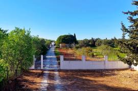 Exclusive farm with 3 bedroom villa and strategic location in Armação de Pêra