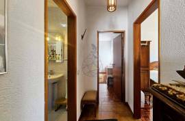 Exclusive farm with 3 bedroom villa and strategic location in Armação de Pêra