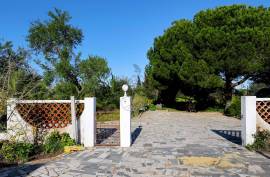 Exclusive farm with 3 bedroom villa and strategic location in Armação de Pêra