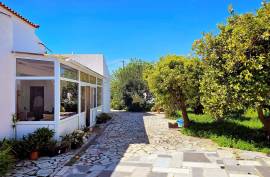 Exclusive farm with 3 bedroom villa and strategic location in Armação de Pêra