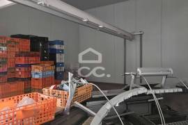 Warehouse Beja Parque Industrial