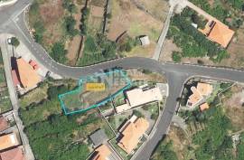 Land in Ponta Delgada, Madeira Island