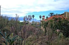Land in Ponta Delgada, Madeira Island