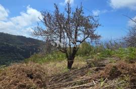 Land with Ruin to recover