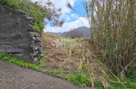 Land with Ruin to recover