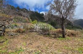 Land with Ruin to recover