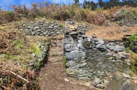 Land with Ruin to recover