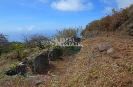 Land with Ruin to recover
