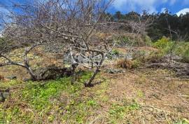Land with Ruin to recover