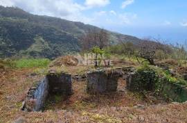 Land with Ruin to recover