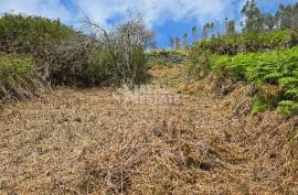 Land with Ruin to recover