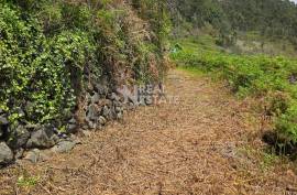 Land with Ruin to recover