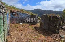 Land with Ruin to recover