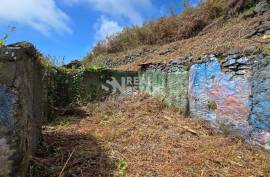 Land with Ruin to recover
