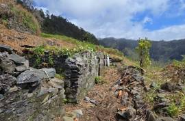 Land with Ruin to recover