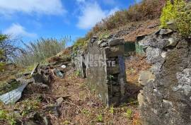 Land with Ruin to recover