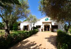 Stunning Commercial Property - Aljezur