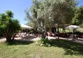 Stunning Commercial Property - Aljezur