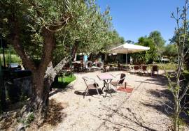 Stunning Commercial Property - Aljezur
