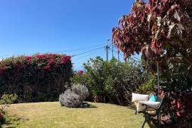 * EXCLUSIVE * Elegant Garden Bungalow T2 + 1 with Income Potential in Funchal * EXCLUSIVE * Elegant Garden Bungalow T2 + 1 with Income Potential in Funchal