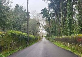 Quinta Sintra - 10 minutes from the Town Center - 5 minutes IC19-A16